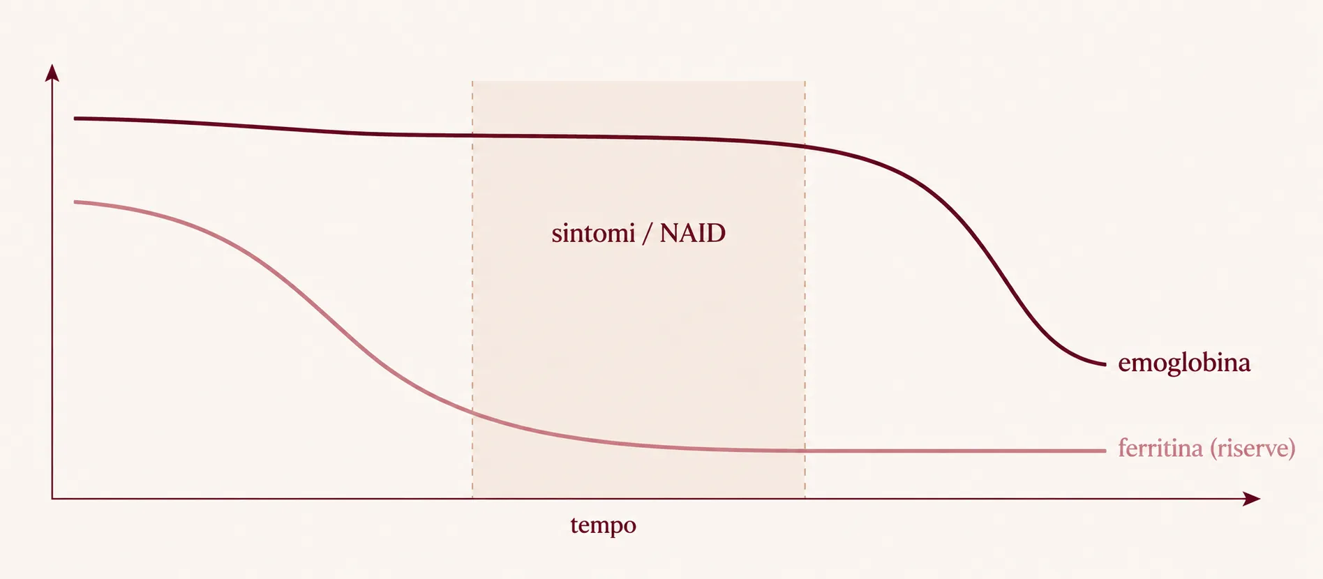 Diagramma: la ferritina cala prima dell'emoglobina (carenza di ferro, NAID)